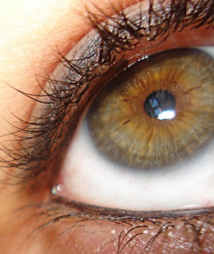 Ochi de culoare verde, două portocale