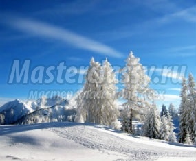 Winter Forest - master classy - cursuri de masterat pentru tine