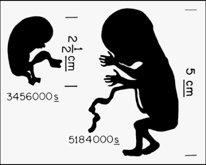 116 Imagini care au selectat nasa pentru a afișa străinii (sau omenirea în viitor)