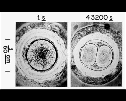 116 Imagini care au selectat nasa pentru a afișa străinii (sau omenirea în viitor)