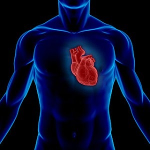 5 Cauzele principale ale depleției musculare cardiace