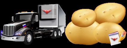 Transportul de cartofi peste tot în Rusia, compania ooo ttk sapsan logistic