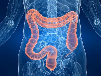 Simptomele bolii Crohn, tratamentul, diagnosticul bolii Crohn a colonului și a intestinului subțire