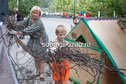 O cabină pentru câinii fără stăpân în rezervație - o moară caldă - gata, adăpost pentru animalele fără adăpost yuzao