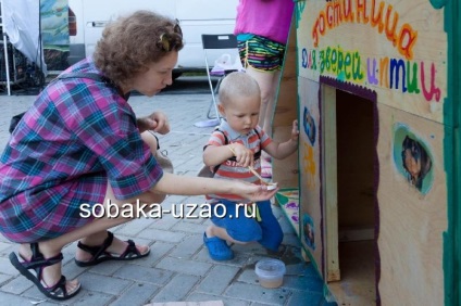 A stand a kóbor kutyák a tartalékban - egy meleg malom - kész, menedéket hajléktalan állatok yuzao