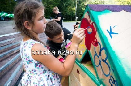 A stand a kóbor kutyák a tartalékban - egy meleg malom - kész, menedéket hajléktalan állatok yuzao