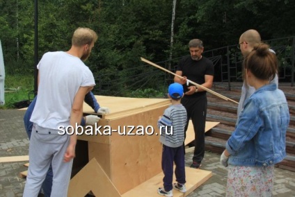 A stand a kóbor kutyák a tartalékban - egy meleg malom - kész, menedéket hajléktalan állatok yuzao