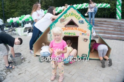 A stand a kóbor kutyák a tartalékban - egy meleg malom - kész, menedéket hajléktalan állatok yuzao