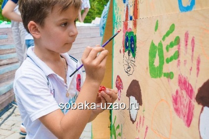 A stand a kóbor kutyák a tartalékban - egy meleg malom - kész, menedéket hajléktalan állatok yuzao