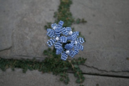 Boutonniere pentru mirele proprii, clasa master cu fotografie și video