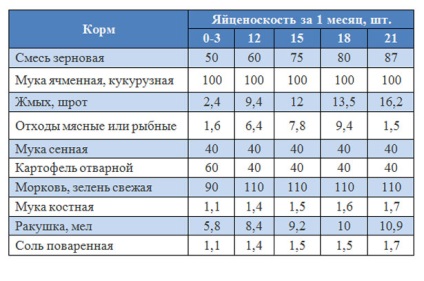 Cum să hrăniți rațe domestice - aplicație pentru reviste online - bayanay