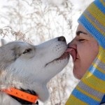Ce să faci dacă câinele are frig, articole despre Chihuahua