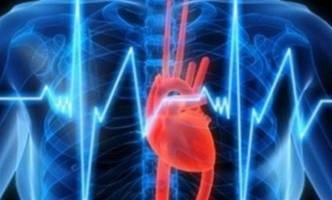 Mit jelent, ha a szív és a váll fáj, a portál a medison egészségéről