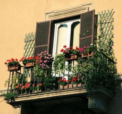 Flori pe design balcon