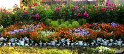 Crearea și îngrijirea grădinii de flori - portal agricol