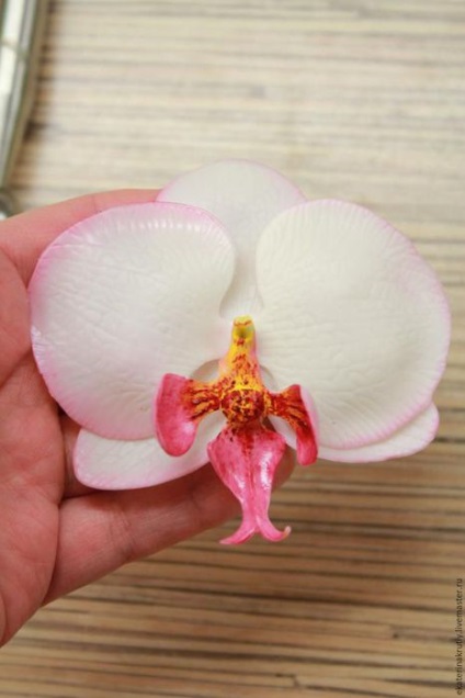 Phalaenopsis orchidea virág hideg porcelánból