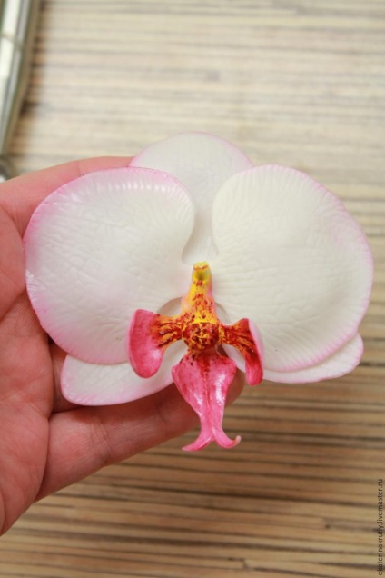 Floarea orhideei Phalaenopsis din porțelan rece