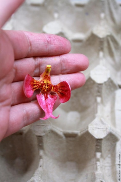 Phalaenopsis orchidea virág hideg porcelánból
