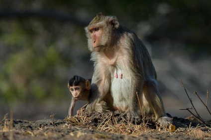 Sărbători ieftine în Thailanda