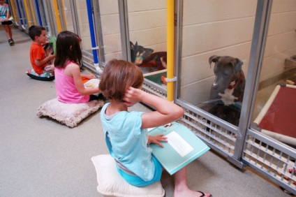 Copiii citesc cu voce tare într-un adăpost pentru animale pentru a ajuta câinii intimidați și timizi