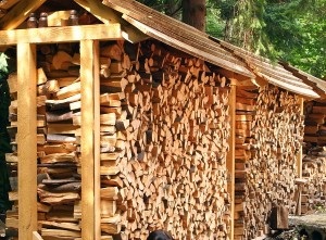 Drovnitsa pentru lemn de foc pe stradă cu propriile mâini, treburile din țară
