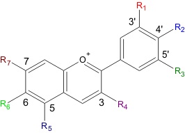 Antociani E163
