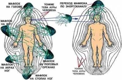 Parazitii energetici cum să recunoască și să scape - cunoașterea secretă - interesantă și neobișnuită