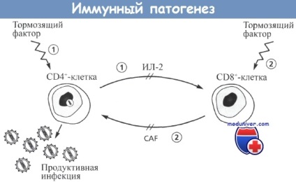 Factorii care duc la imunodeficiența HIV