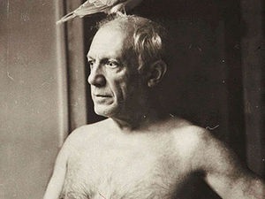 Porumbei în lucrările lui Pablo Picasso - târg de maeștri - manual, manual