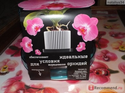 O cutie de flori pentru orhidee este o coroană cu un palet - 