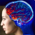 Az agy lüktetése - az agy élete, az egészség és a szépség