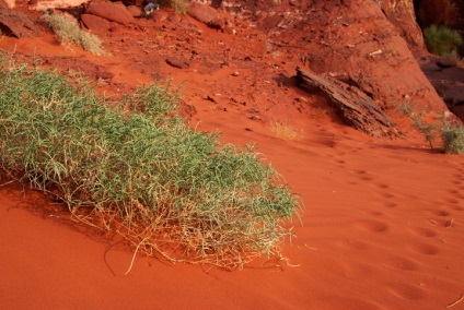 Iordania, deșertul Wadi Rum - călătoria-rătăcire!