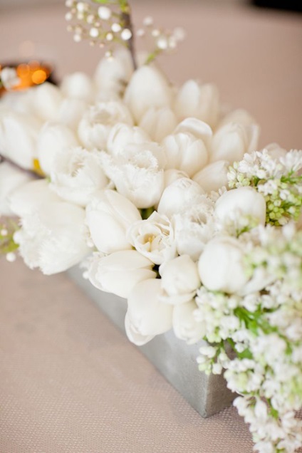 Utilizarea de lalele în designul nunții de la designul florilor de nunta - nunta