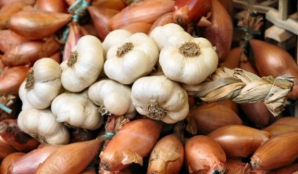 Cum se păstrează legumele în țară (cartofi, morcovi, sfecla)