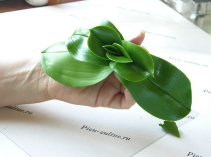 Ceramică clasă maestru de floristică privind crearea de phalaenopsis din argilă polimer