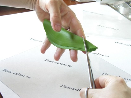 Ceramică clasă maestru de floristică privind crearea de phalaenopsis din argilă polimer