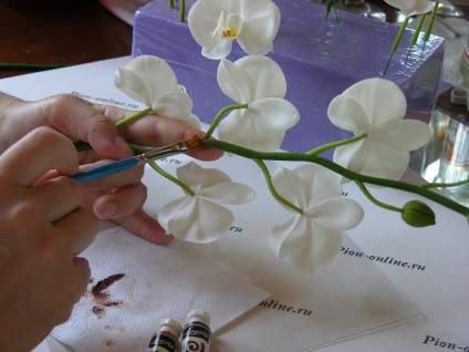 Ceramică clasă maestru de floristică privind crearea de phalaenopsis din argilă polimer