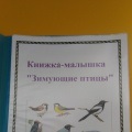 A kis könyv A kis könyv