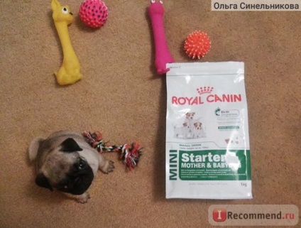 Корм для собак royal canin mini starter (щенки до 2 місяців, вагітні та суки) -