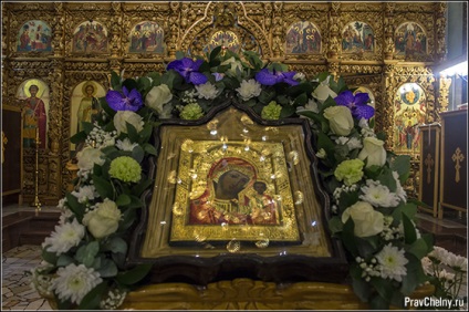 Frumusețea lumii lui Dumnezeu în floristica templului, publicații, Biserica Ortodoxă