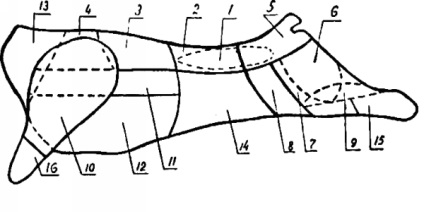 Numirea culinară a părților carcasei de carne de vită