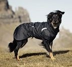 Cumpara hurtta haine pentru caini din Sankt Petersburg si imbraca costume de ploaie