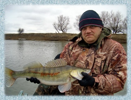 Catching de pikeperch pe Volga și Akhtuba în cazul în care, cum, când, calendarul de biciuie Pike Sting în Volga inferior