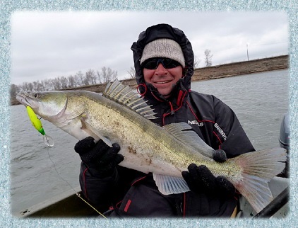 Catching de pikeperch pe Volga și Akhtuba în cazul în care, cum, când, calendarul de biciuie Pike Sting în Volga inferior