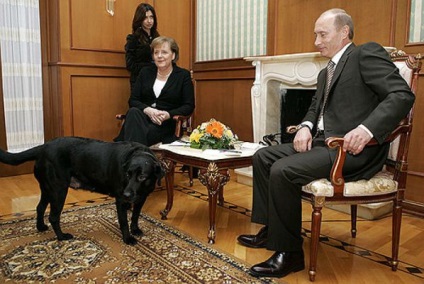 Cei mai buni prieteni ai președinților sunt câini celebri de lideri mondiali - secrete ale femeilor