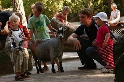 Muzeul Skansen din Stockholm, la Stockholm cu copii, se odihnește cu copii