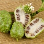 Noni, morinda citrifolia (morinda citrifolia)