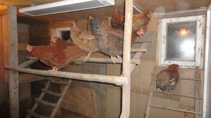 A csirkeháznak télen fűtése