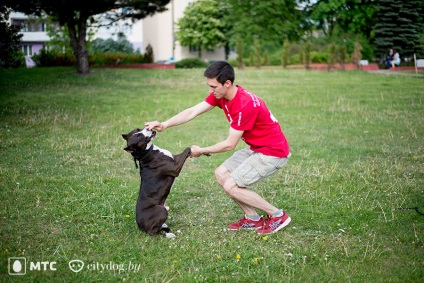 Foarte distractiv 10 exerciții pe care le puteți face cu un animal de companie (gifki), o revistă despre Minsk