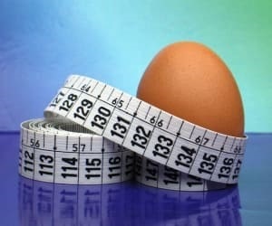 A tojás étrendjének leírása, hiányosságai, menük és vélemények